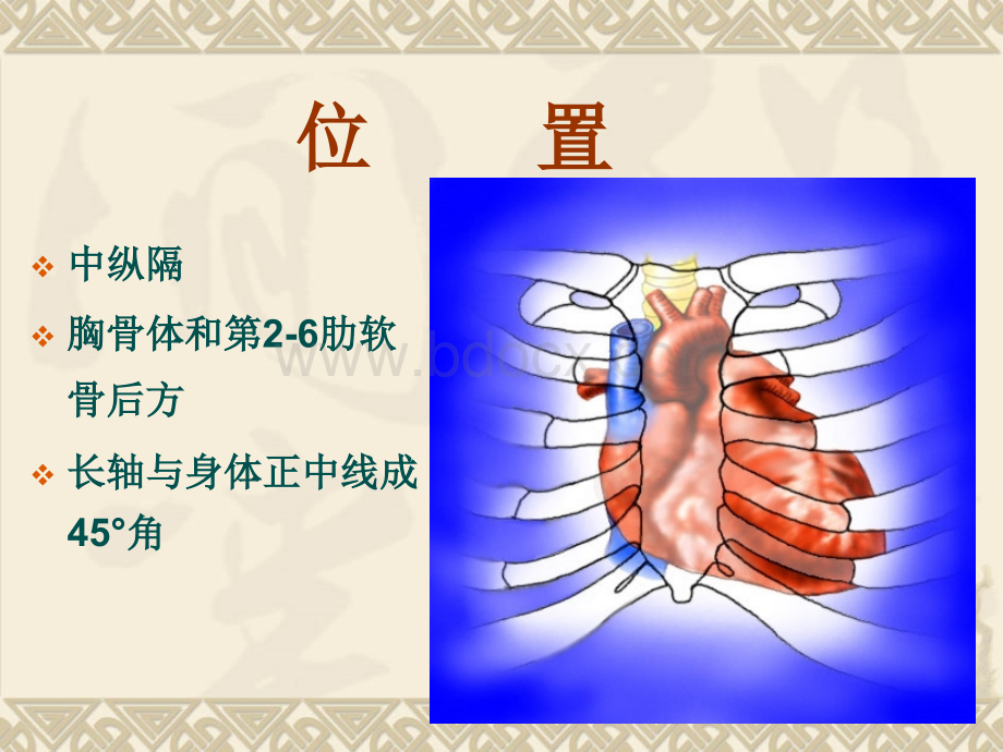 超声心动图基础_精品文档.ppt_第2页