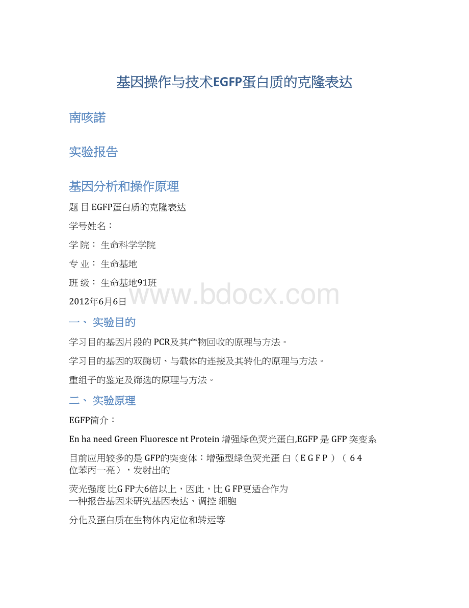 基因操作与技术EGFP蛋白质的克隆表达Word文件下载.docx