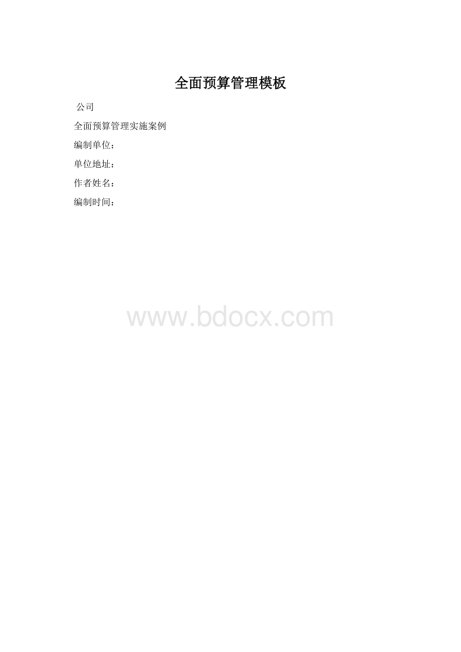 全面预算管理模板Word格式文档下载.docx_第1页