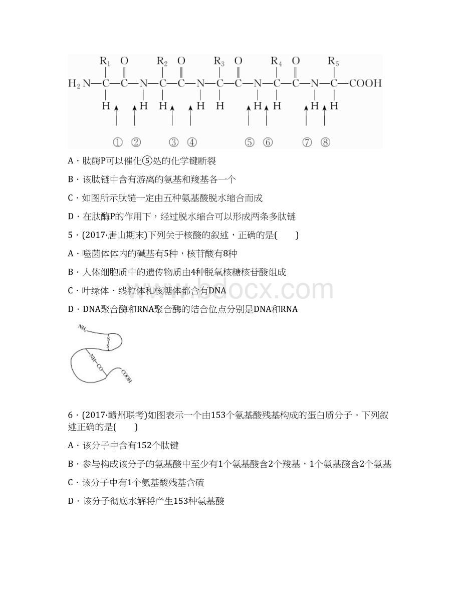 《试吧》高中全程训练计划生物课练2 细胞中的蛋白质和核酸文档格式.docx_第2页