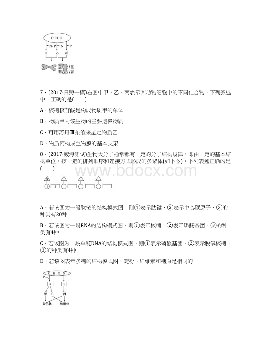 《试吧》高中全程训练计划生物课练2 细胞中的蛋白质和核酸文档格式.docx_第3页