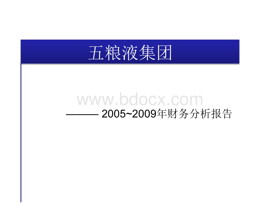 五粮液财务报表分析2005-2009PPT文件格式下载.ppt