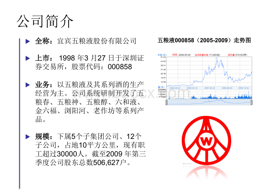 五粮液财务报表分析2005-2009PPT文件格式下载.ppt_第3页