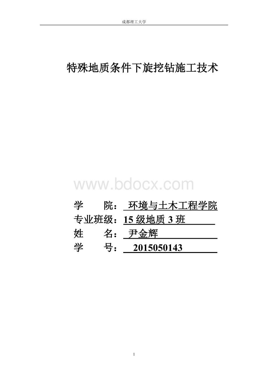 特殊地质条件下旋挖钻施工技术Word格式文档下载.doc_第1页