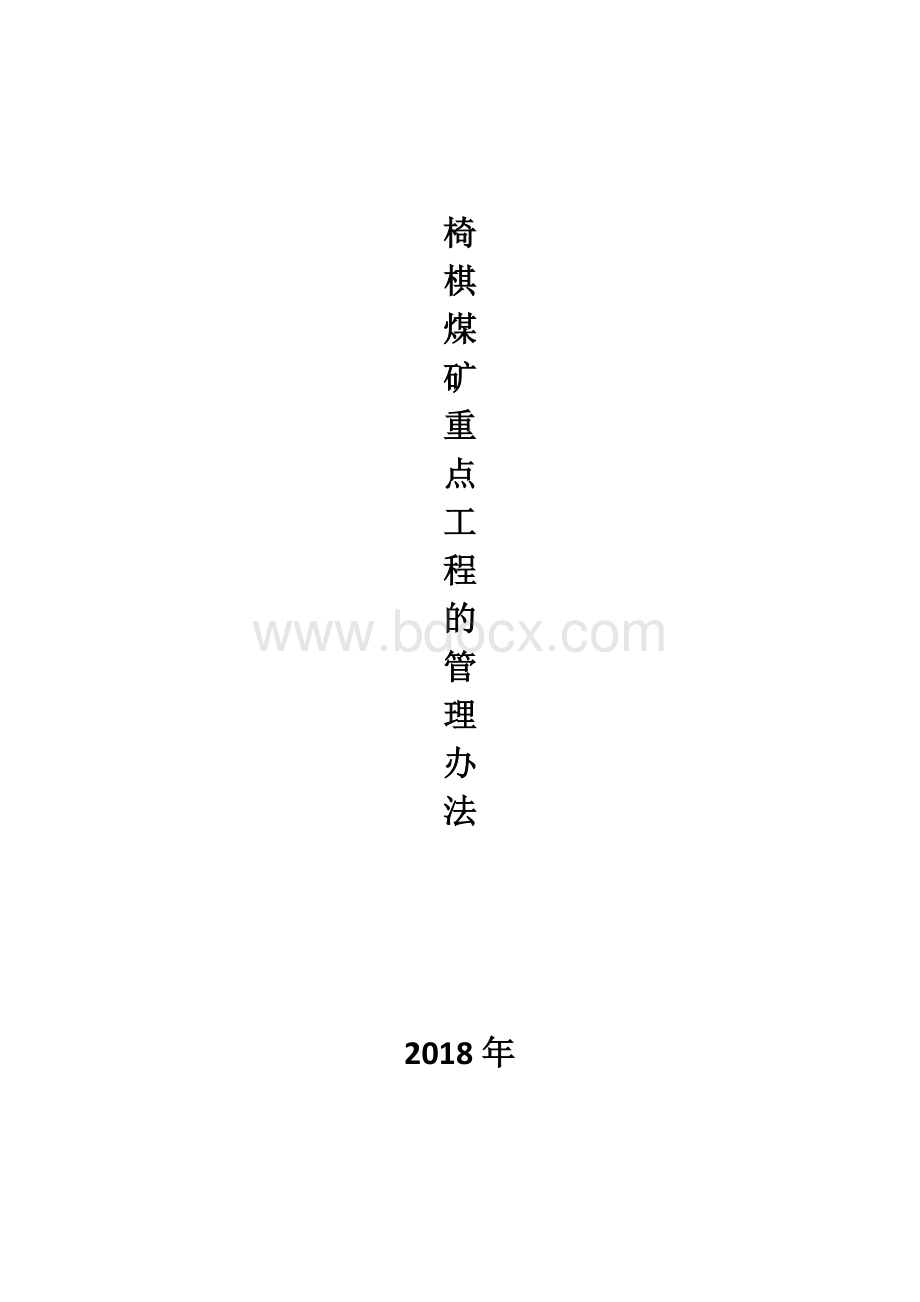 椅棋煤矿重点工程管理办法Word文档下载推荐.docx