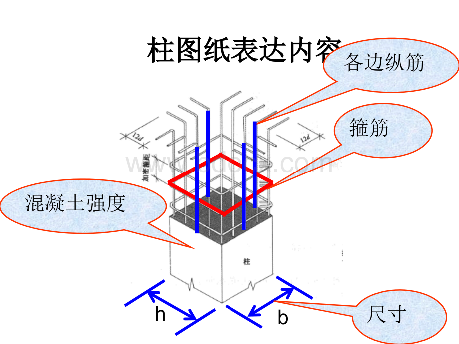 结构识图--柱PPT资料.ppt_第2页