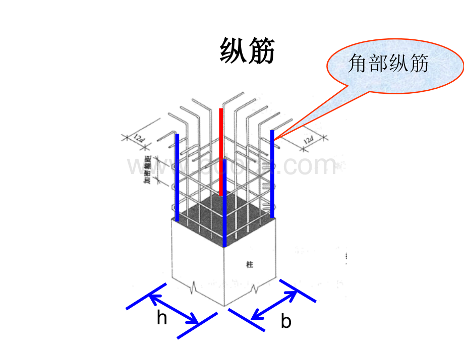 结构识图--柱PPT资料.ppt_第3页