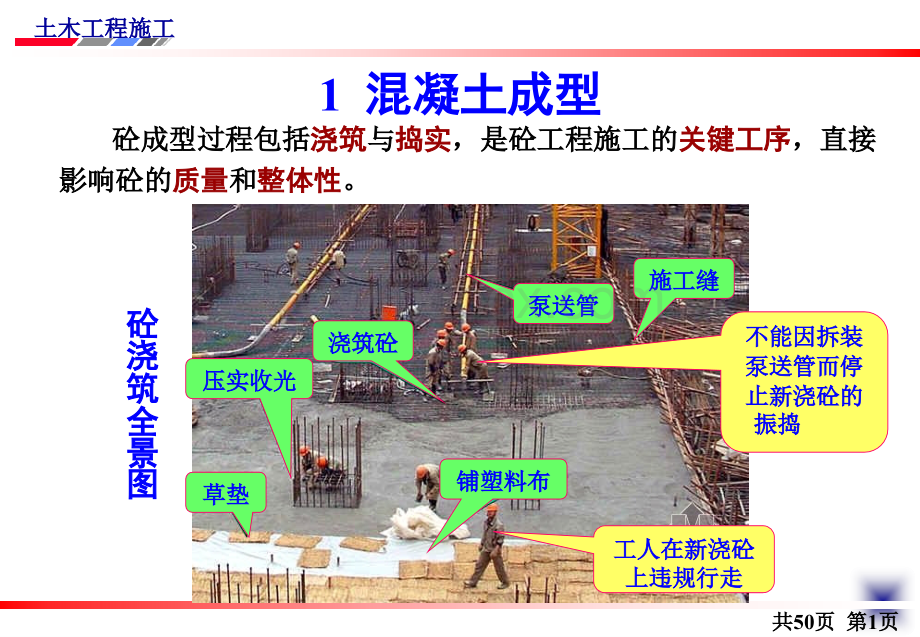 混凝土成型及养护.ppt_第2页