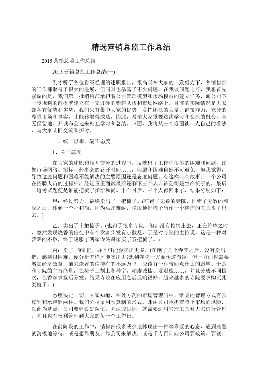 精选营销总监工作总结.docx_第1页