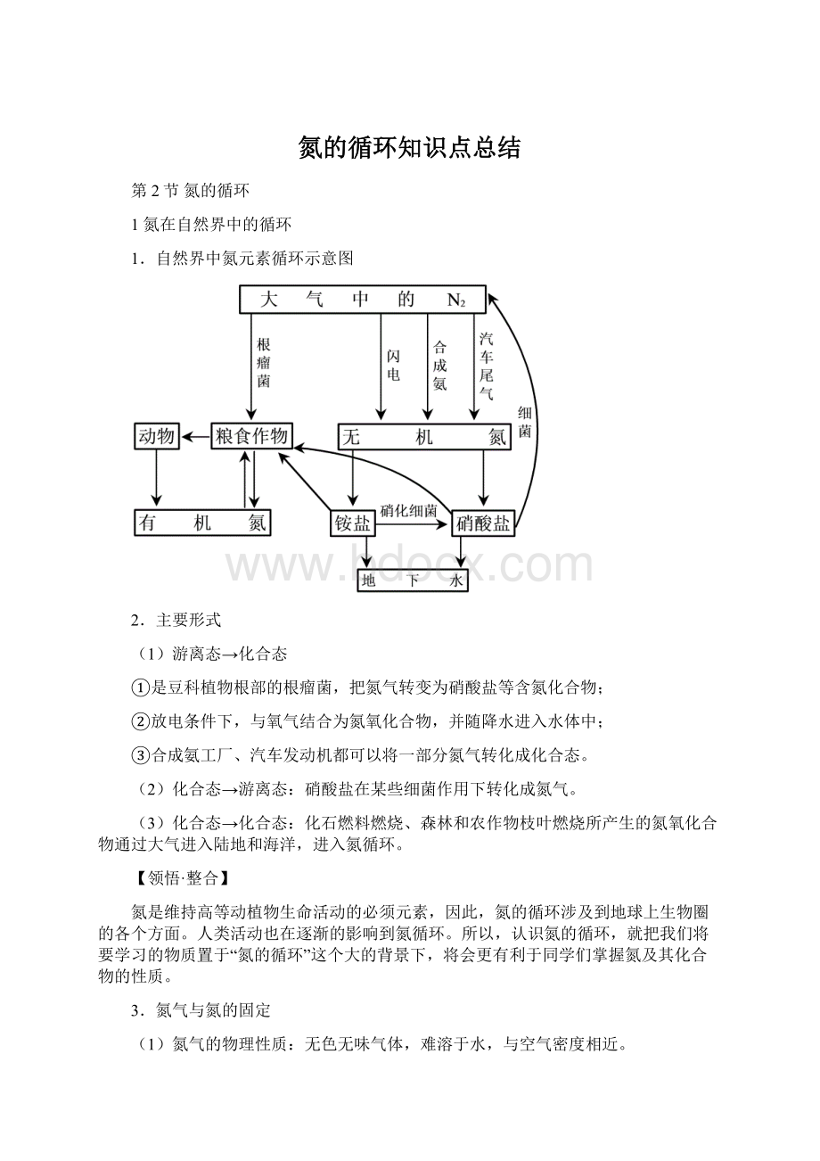 氮的循环知识点总结.docx