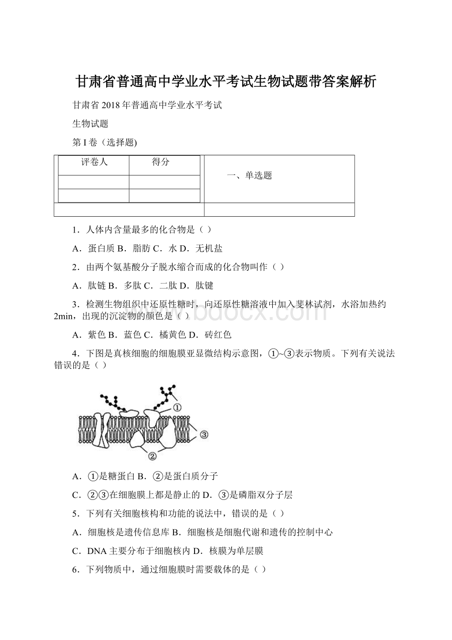 甘肃省普通高中学业水平考试生物试题带答案解析Word文档下载推荐.docx