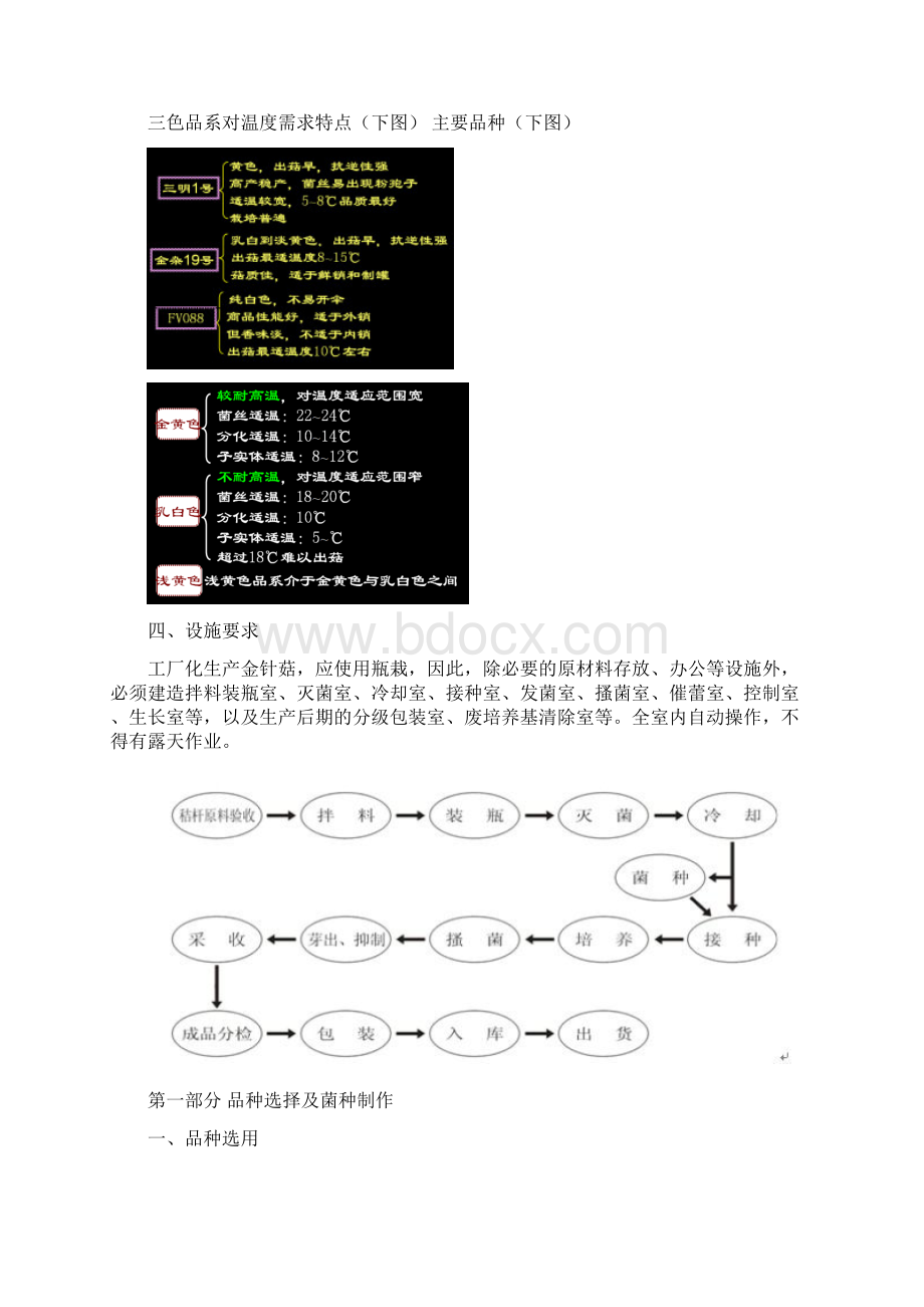 金针菇生产工艺详细讲解.docx_第3页