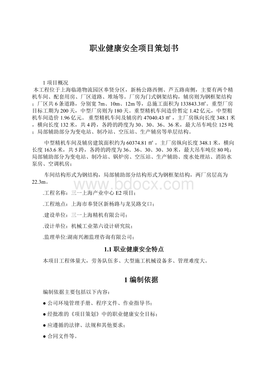 职业健康安全项目策划书Word文件下载.docx