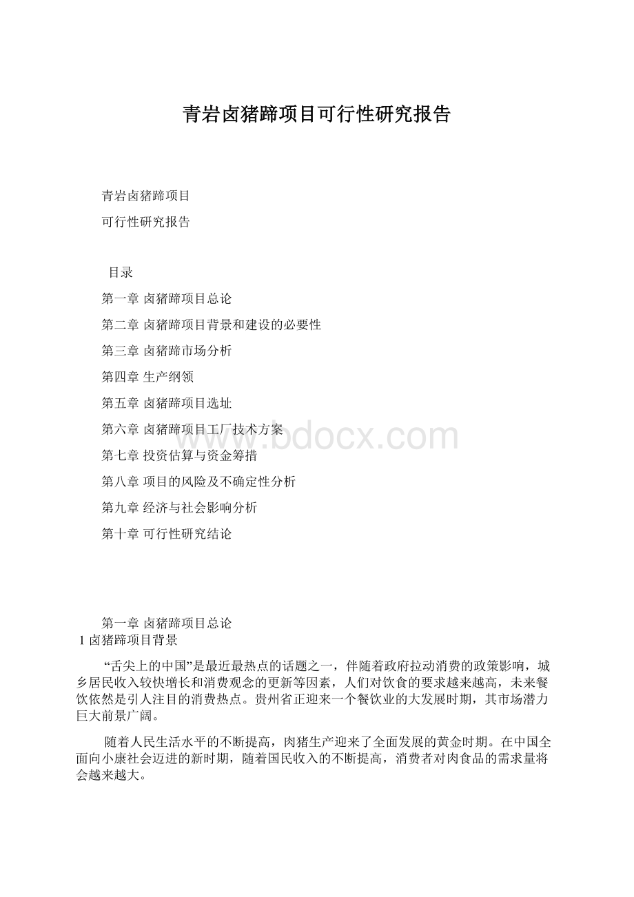 青岩卤猪蹄项目可行性研究报告Word文档下载推荐.docx