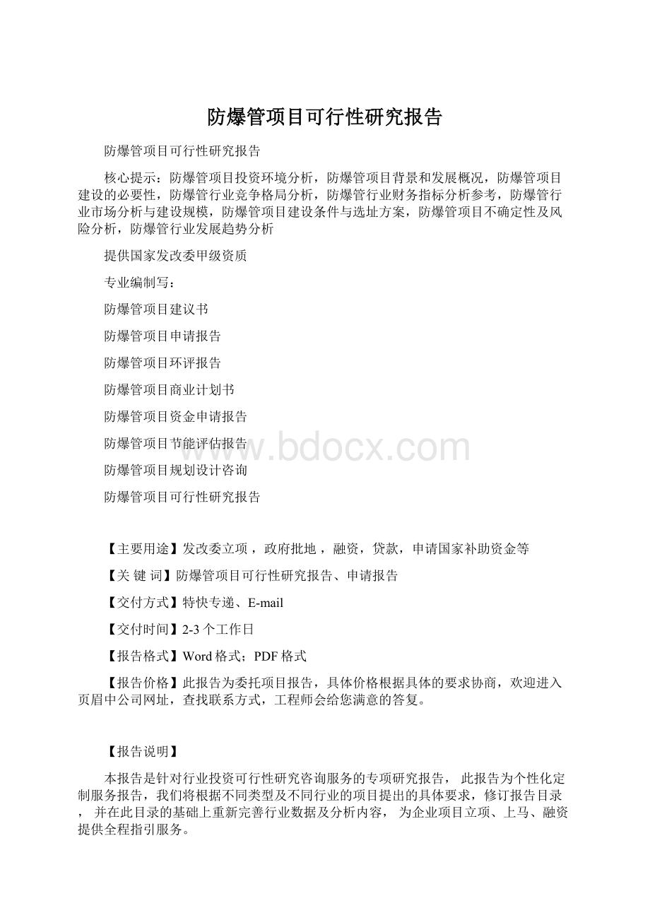 防爆管项目可行性研究报告Word文件下载.docx