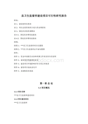 县卫生监督所建设项目可行性研究报告Word格式文档下载.docx