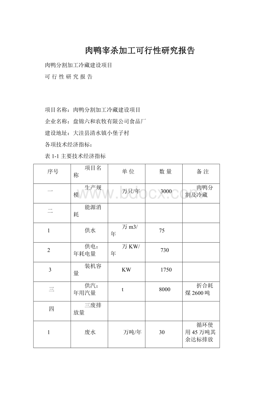 肉鸭宰杀加工可行性研究报告Word文档格式.docx_第1页