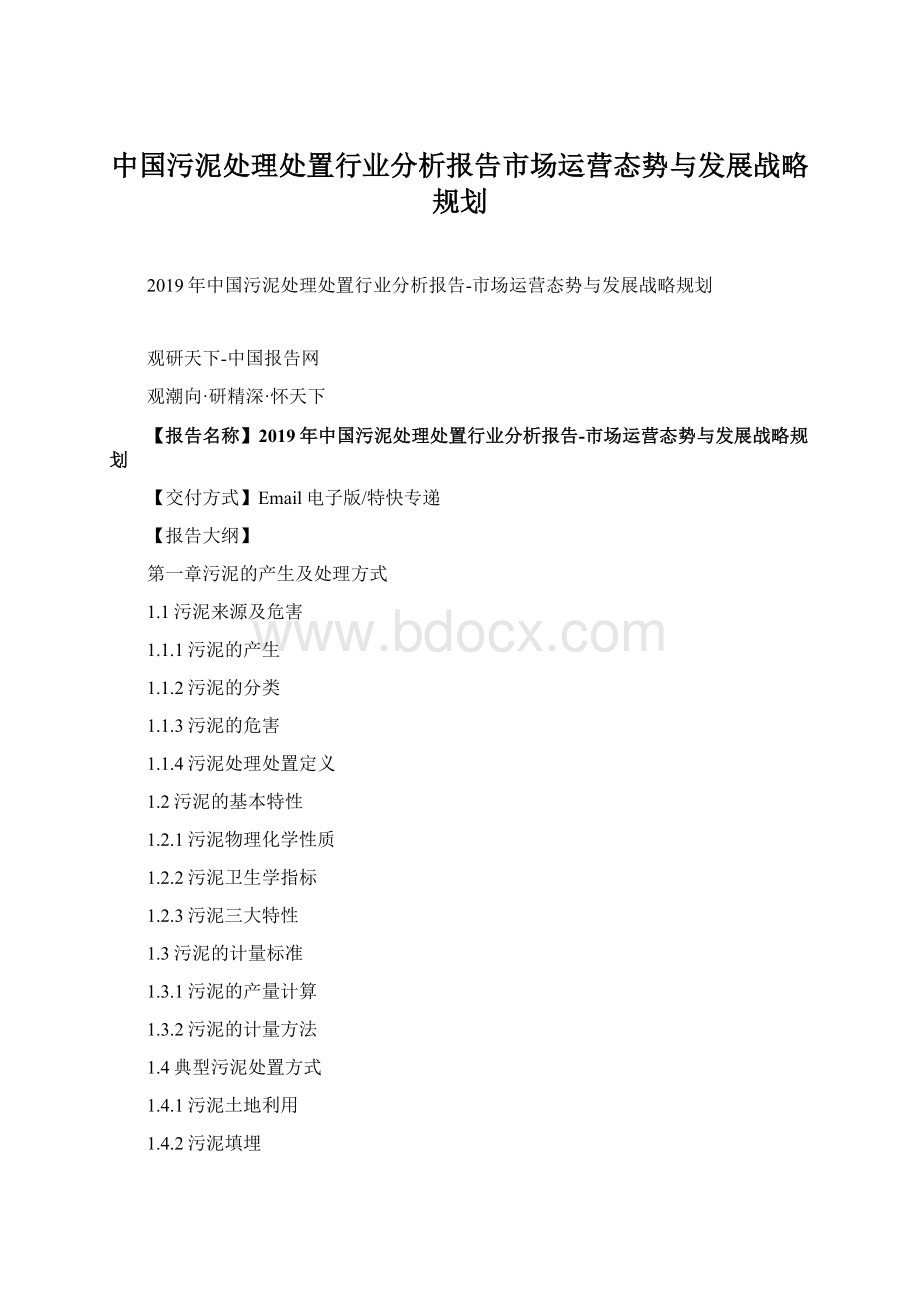 中国污泥处理处置行业分析报告市场运营态势与发展战略规划Word下载.docx