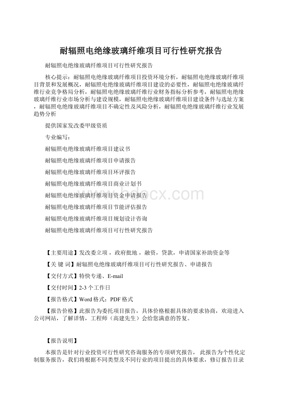 耐辐照电绝缘玻璃纤维项目可行性研究报告.docx_第1页