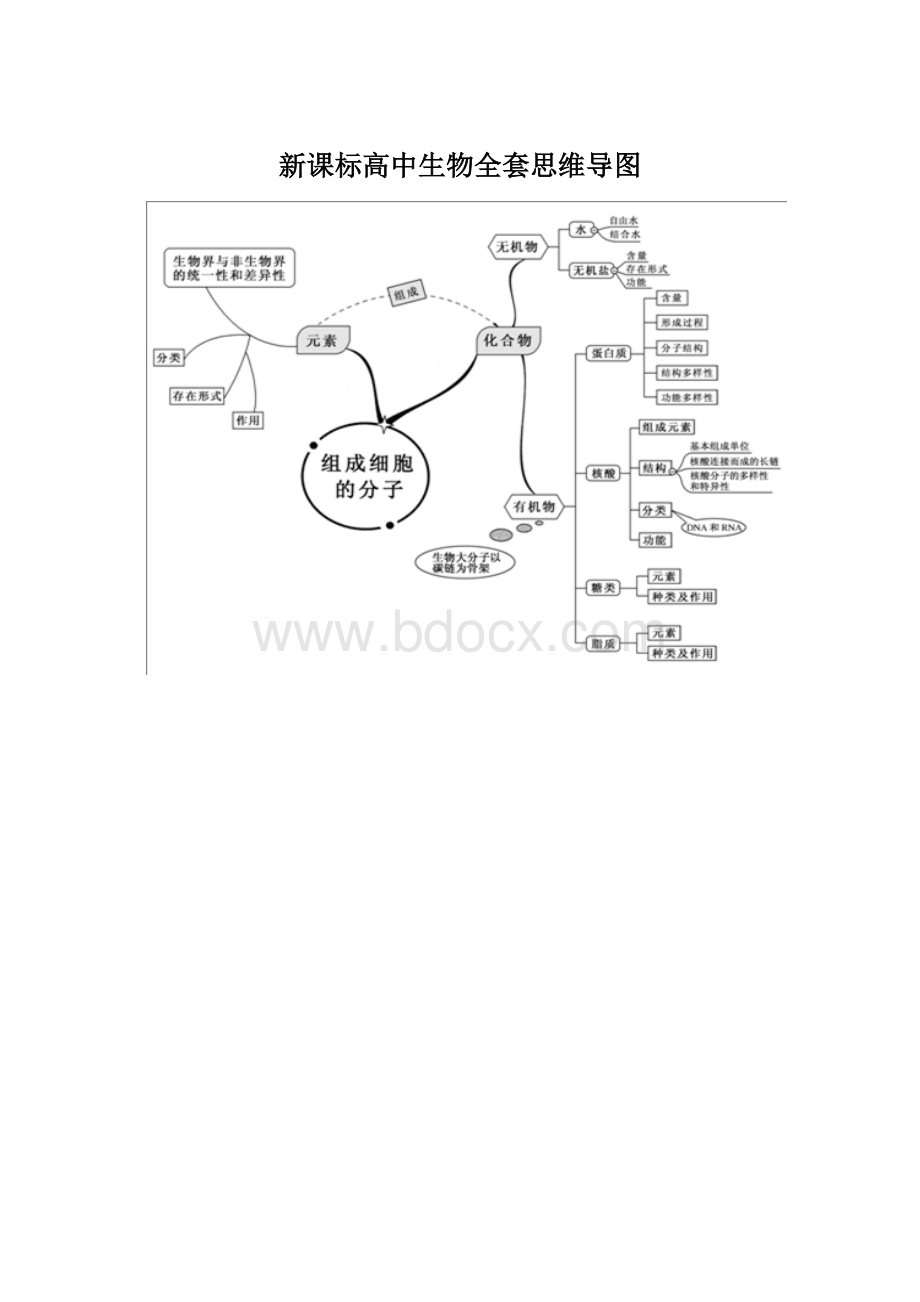 新课标高中生物全套思维导图Word下载.docx