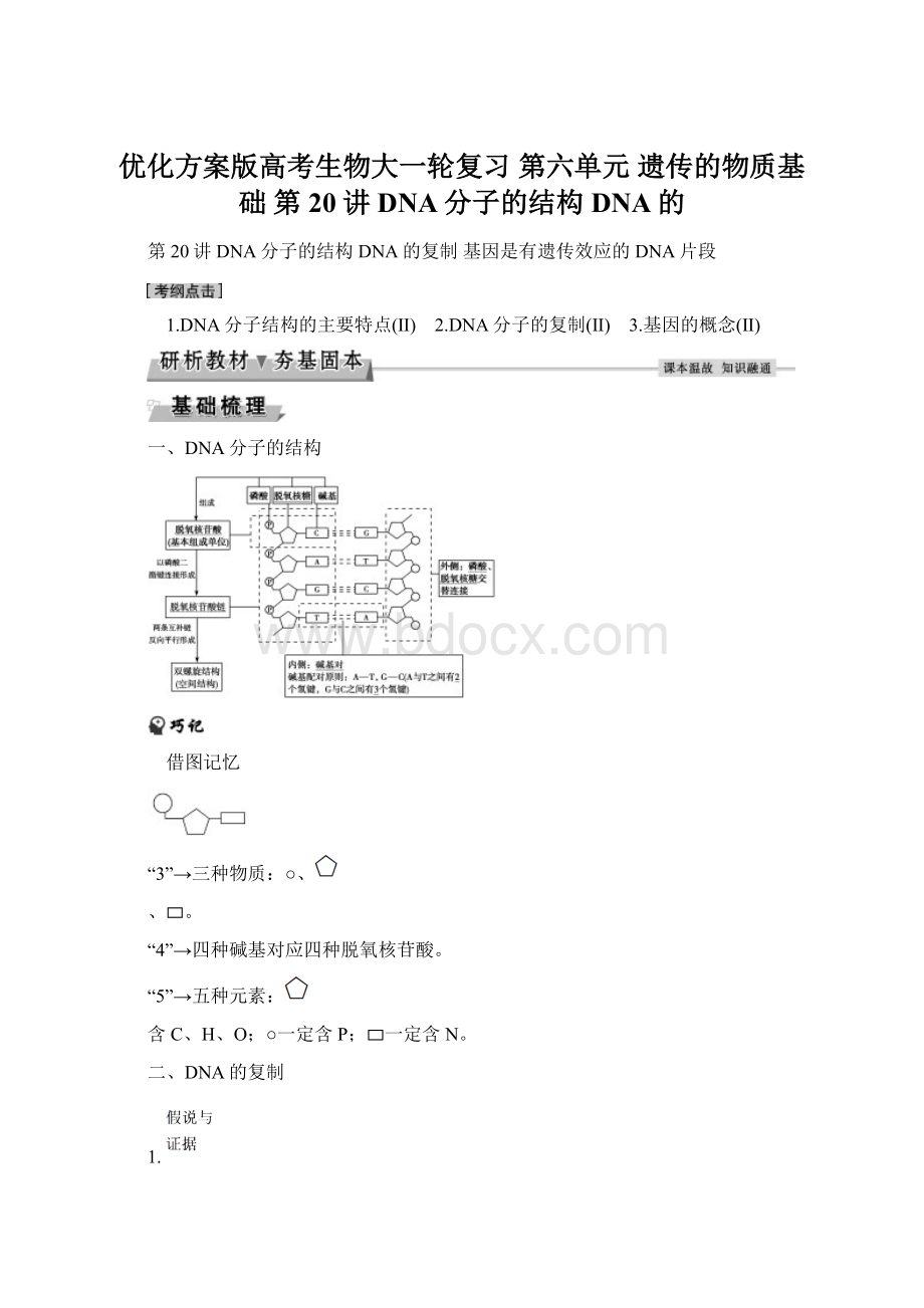 优化方案版高考生物大一轮复习 第六单元 遗传的物质基础 第20讲 DNA分子的结构 DNA的Word下载.docx_第1页