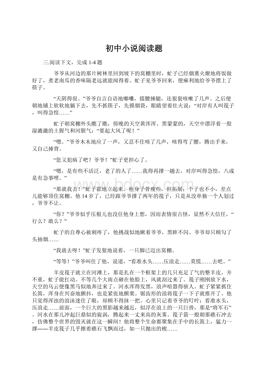 初中小说阅读题Word文档格式.docx