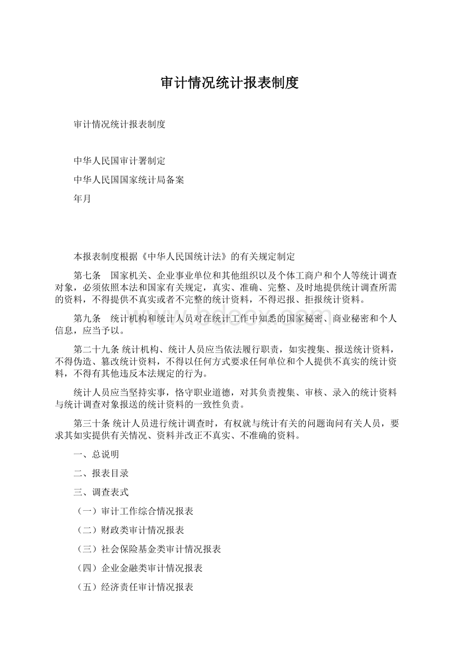 审计情况统计报表制度文档格式.docx_第1页