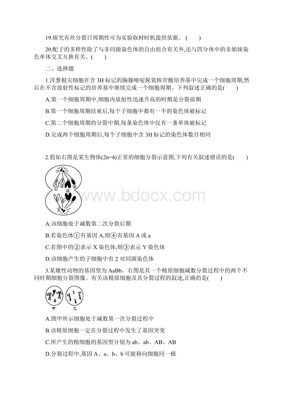 高考生物二轮复习 专题能力训练5 细胞的增殖和受精作用.docx_第2页