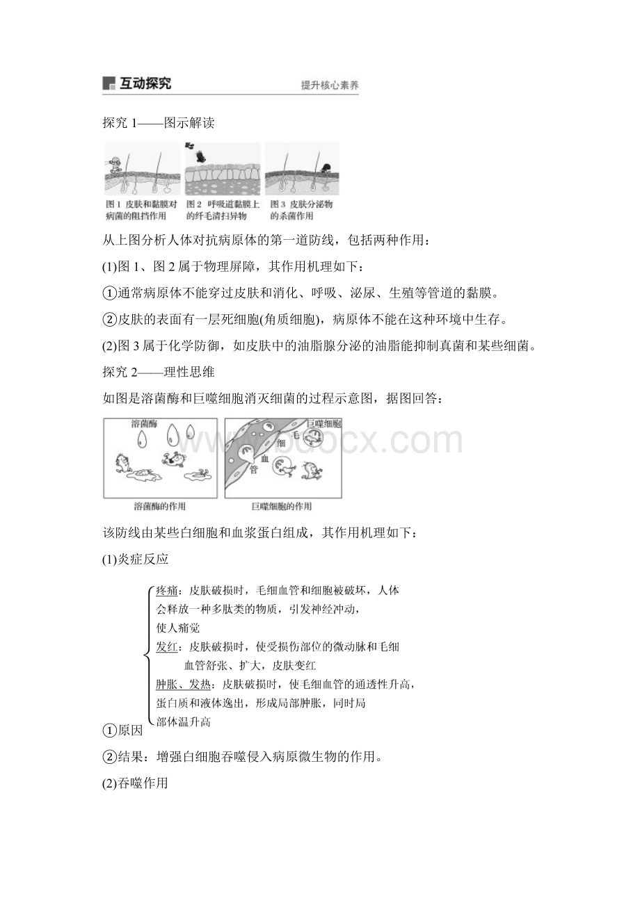 版高中生物第三章免疫系统与免疫功能第6课时人体对抗病原体感染的非特异性防卫学案浙科版必修3.docx_第3页