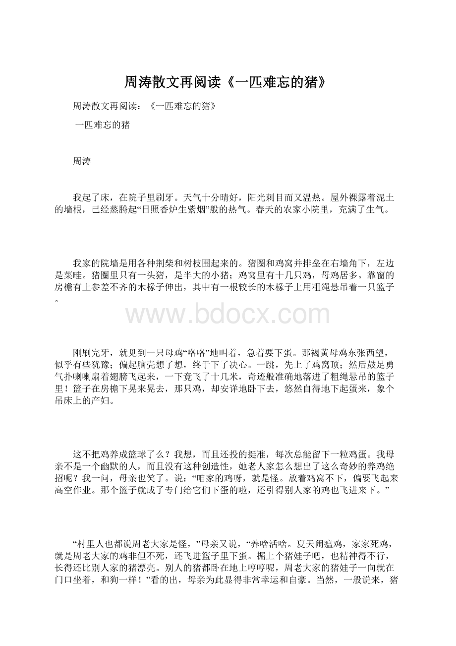 周涛散文再阅读《一匹难忘的猪》Word文件下载.docx