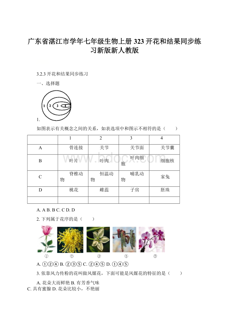 广东省湛江市学年七年级生物上册323开花和结果同步练习新版新人教版.docx_第1页