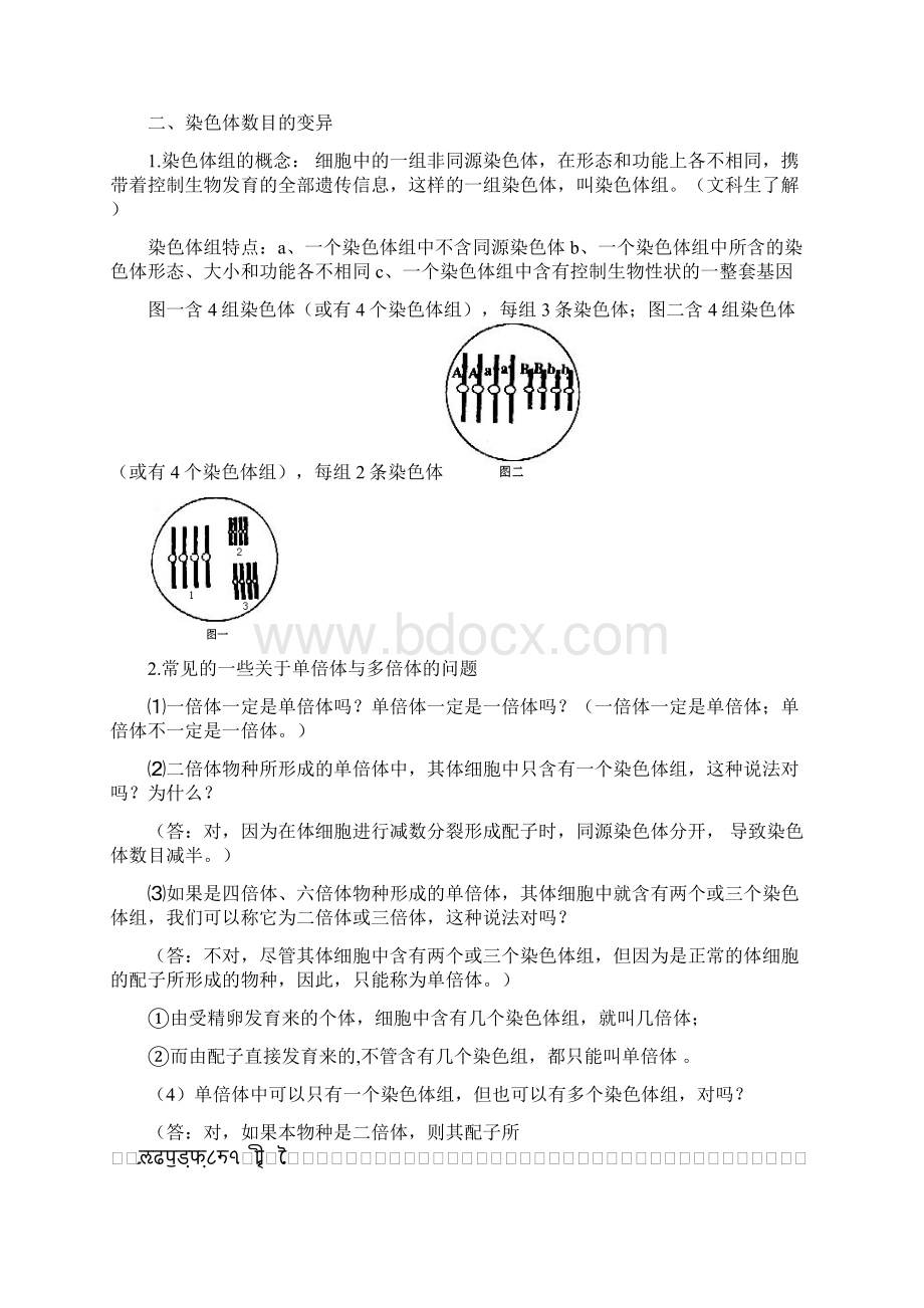 高中生物基因突变及其他变异学案高一生物.docx_第3页