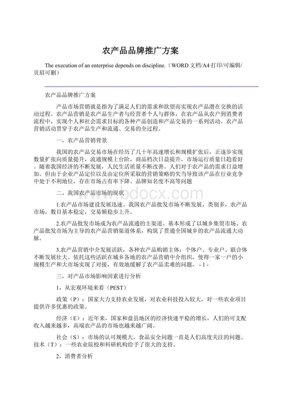 农产品品牌推广方案文档格式.docx