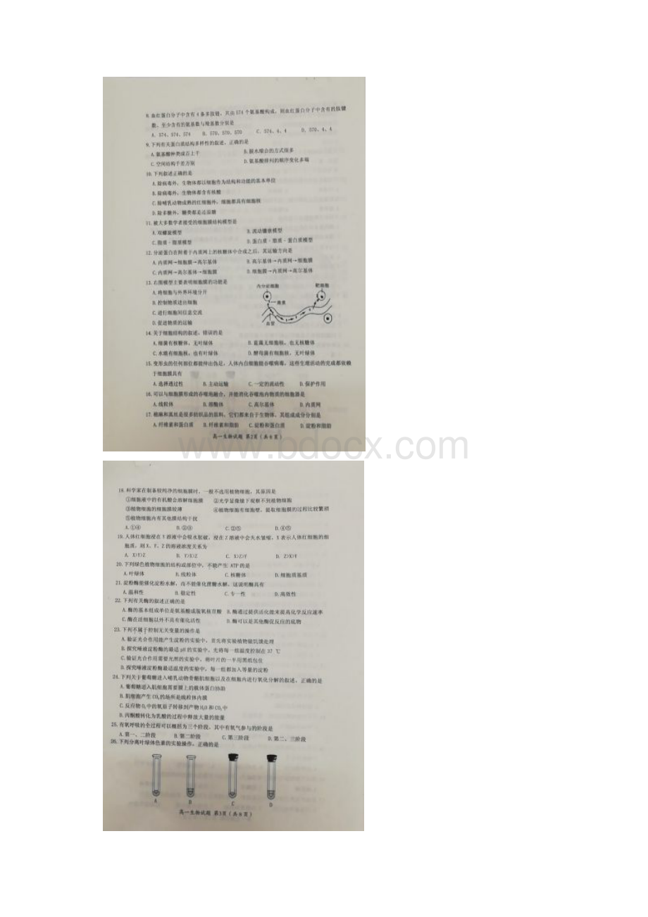 学年福建省三明市高一上学期期末质量检测生物试题 扫描版Word格式.docx_第2页