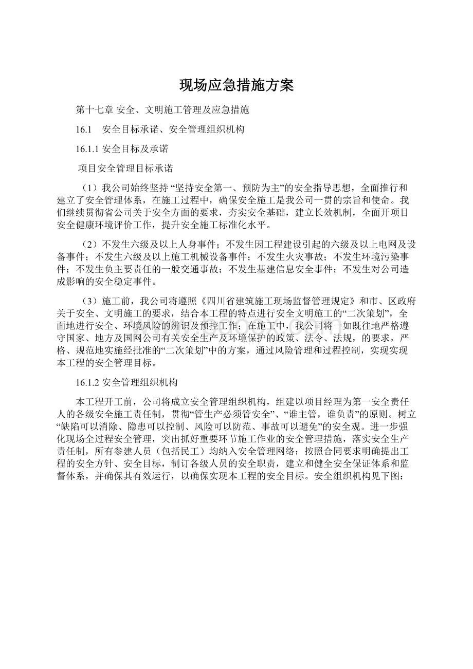 现场应急措施方案文档格式.docx_第1页