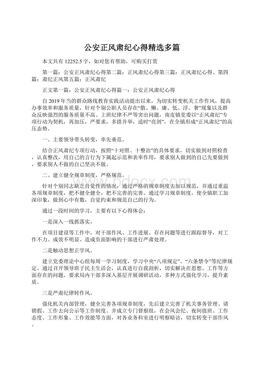 公安正风肃纪心得精选多篇.docx_第1页