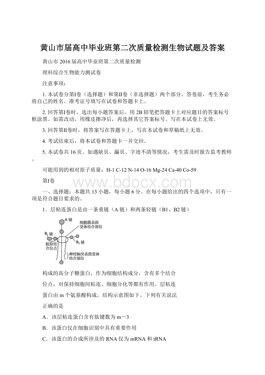 黄山市届高中毕业班第二次质量检测生物试题及答案Word格式.docx