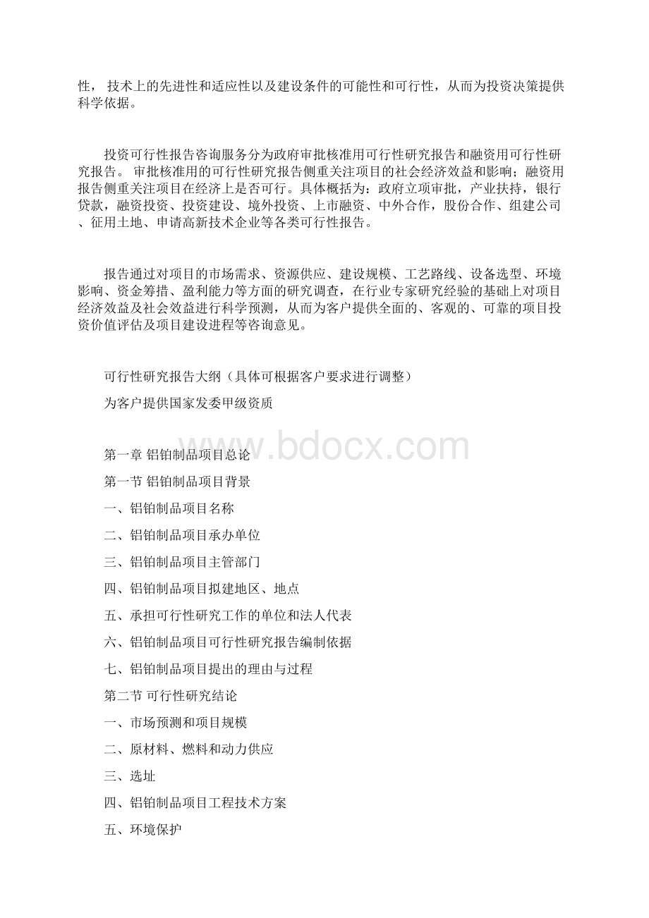 铝铂制品项目可行性研究报告.docx_第2页