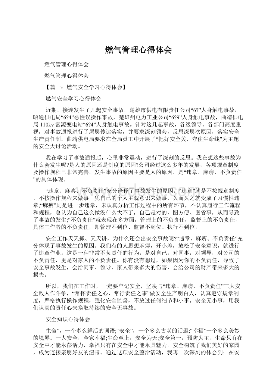 燃气管理心得体会文档格式.docx