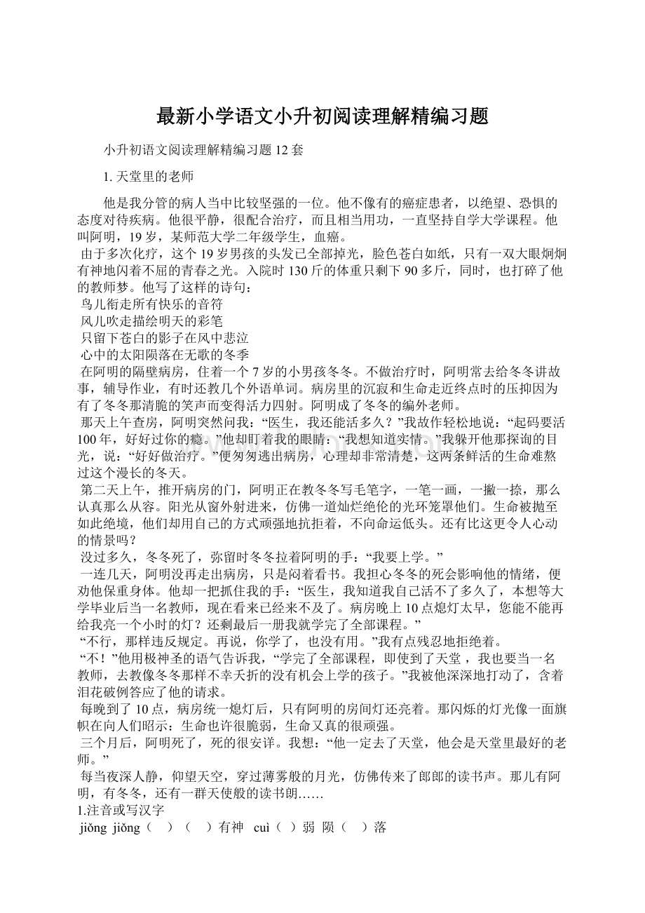 最新小学语文小升初阅读理解精编习题Word文档格式.docx