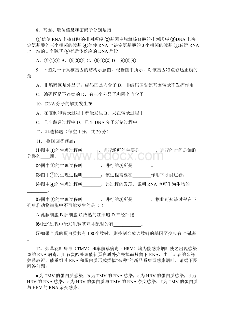 遗传的物质基础 测试题Word文件下载.docx_第2页