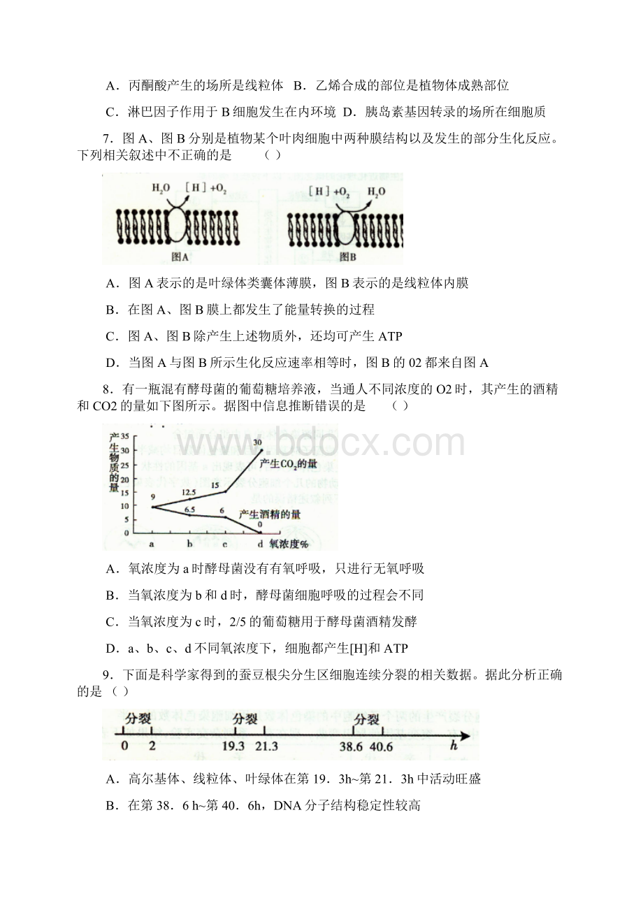 北京市朝阳区届高三上学期期末生物试题Word文件下载.docx_第2页