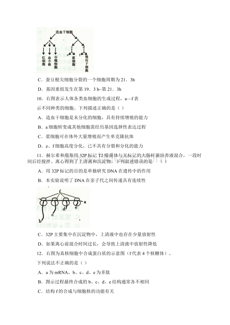 北京市朝阳区届高三上学期期末生物试题Word文件下载.docx_第3页