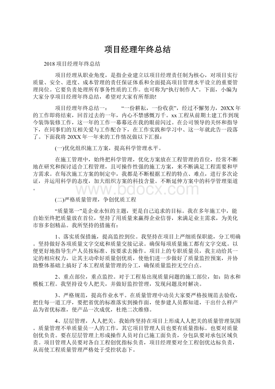 项目经理年终总结文档格式.docx_第1页