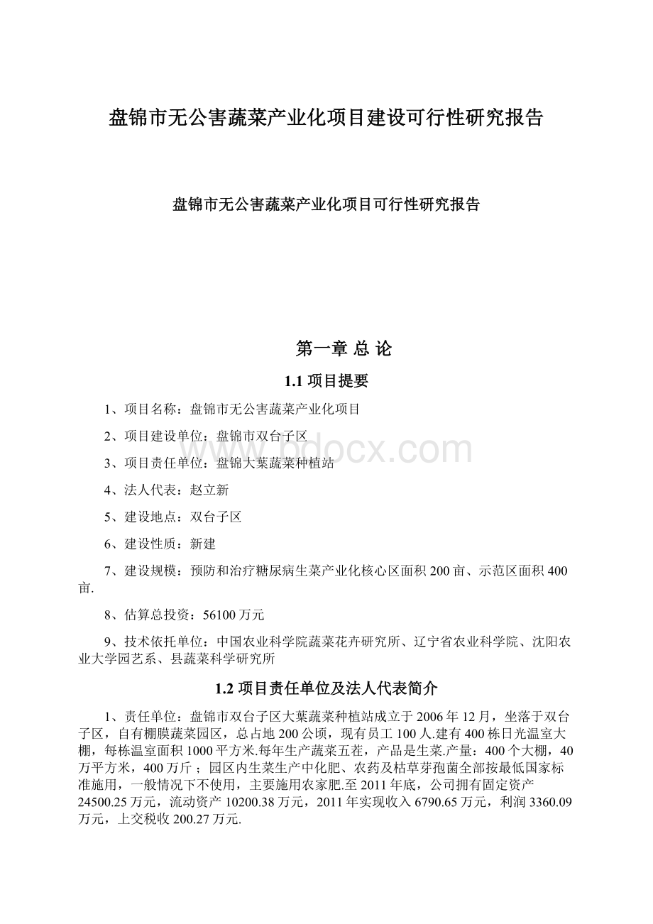 盘锦市无公害蔬菜产业化项目建设可行性研究报告Word下载.docx