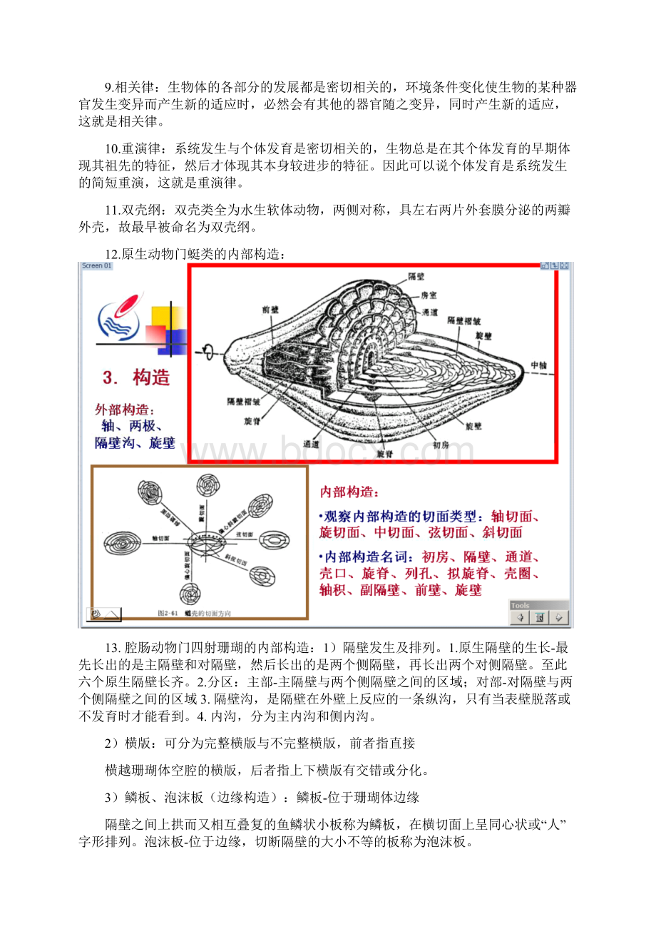 免财富值《古生物地史学》复习资料知识点总结 4.docx_第2页