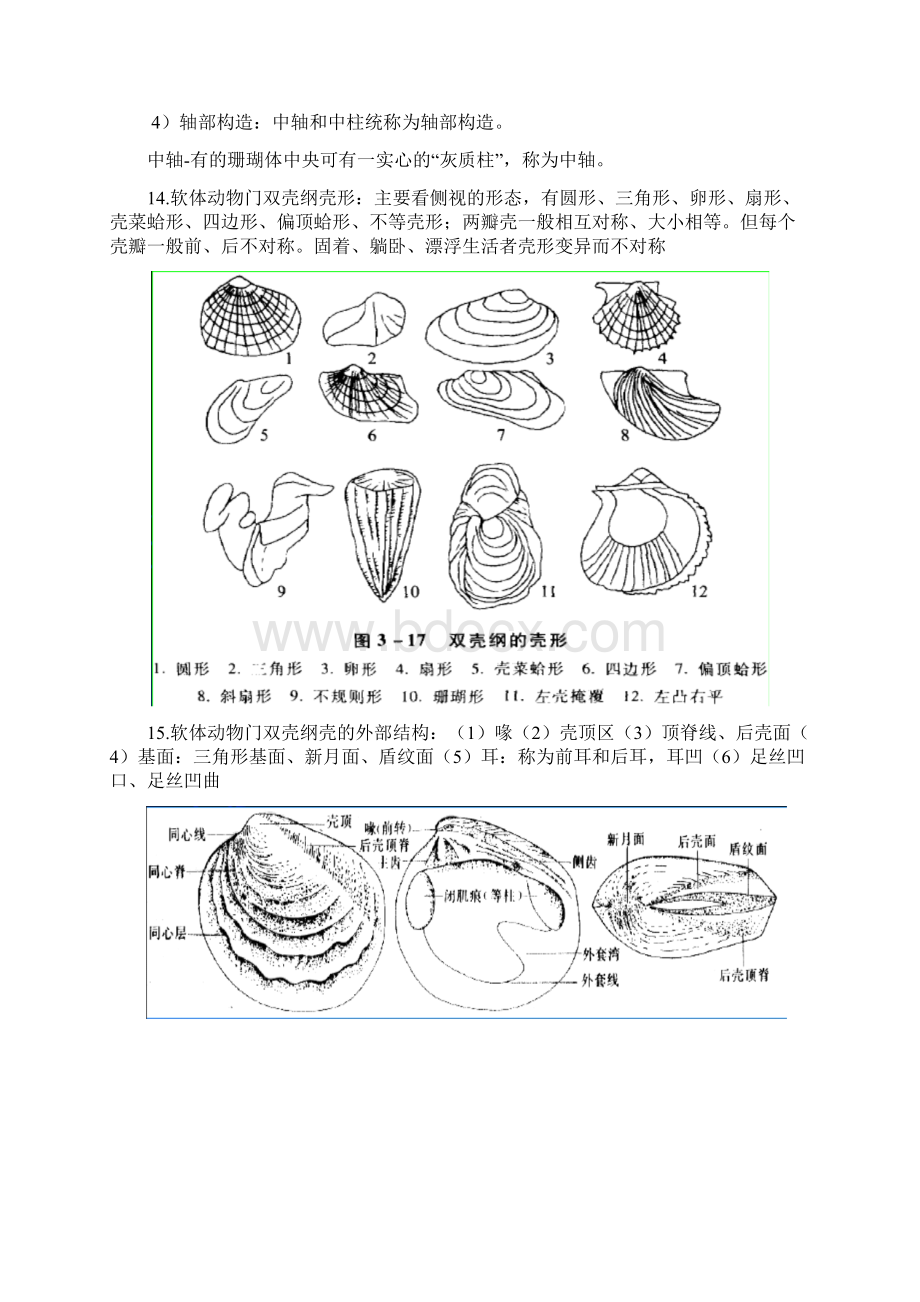 免财富值《古生物地史学》复习资料知识点总结 4.docx_第3页