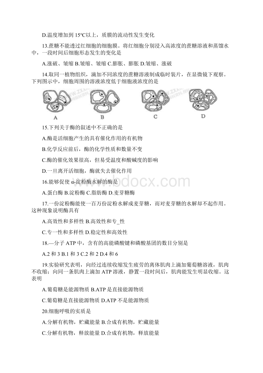 北京市西城区高一生物上学期期末考试试题.docx_第3页