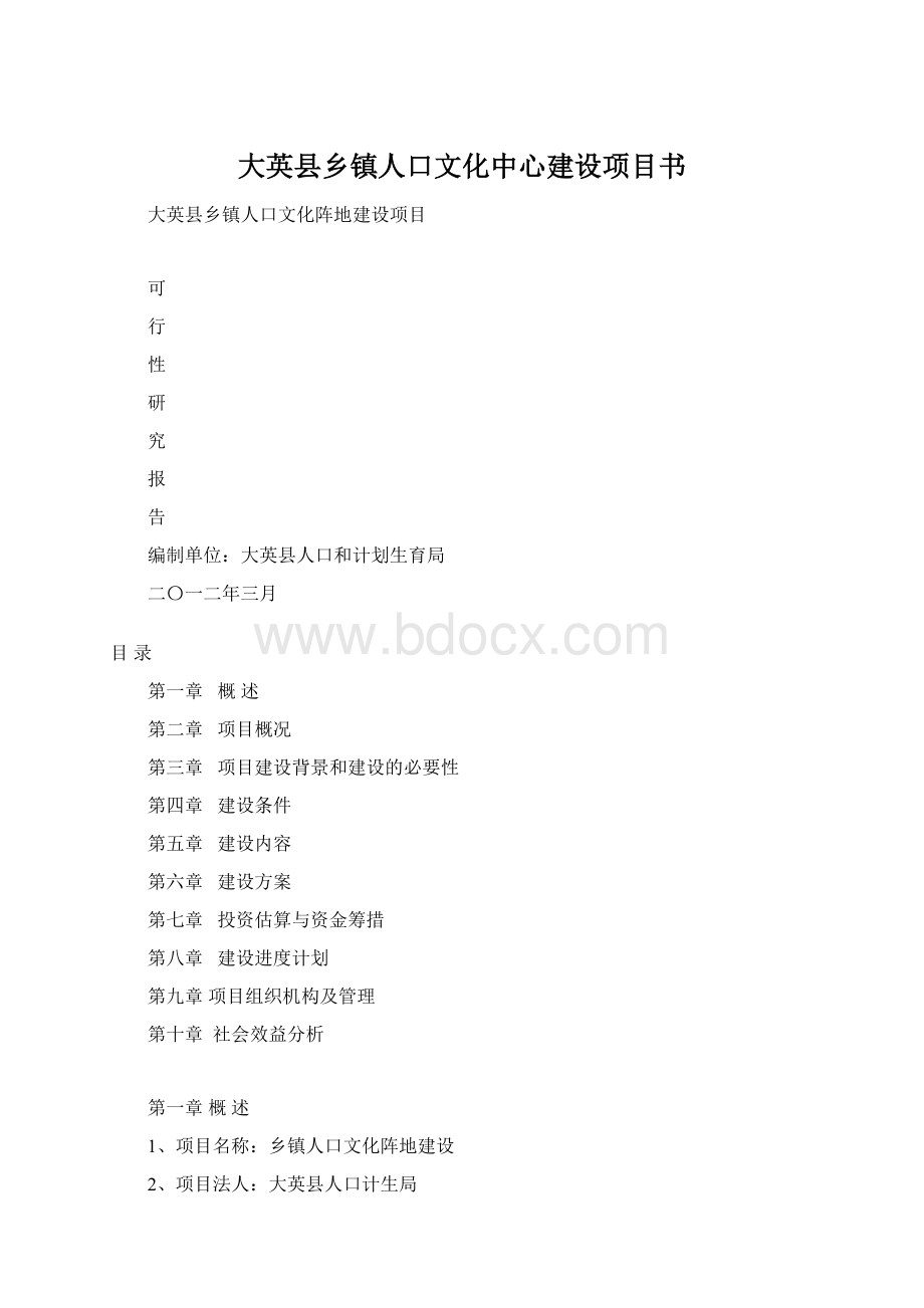 大英县乡镇人口文化中心建设项目书.docx_第1页