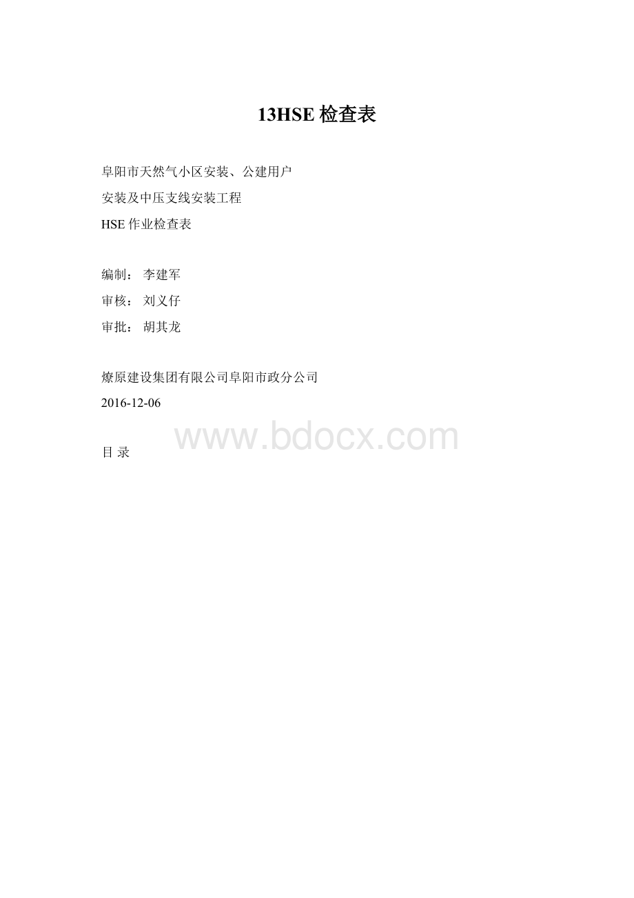 13HSE检查表.docx